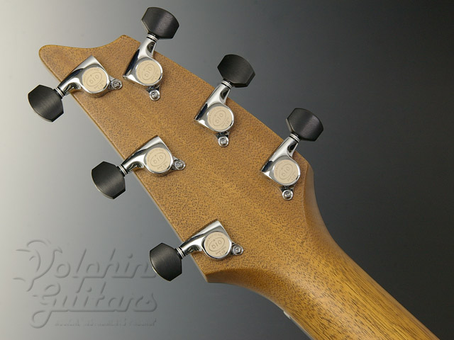 Breedlove Focus SE|ドルフィンギターズ