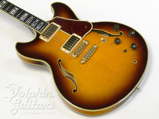 IBANEZ AS200|ドルフィンギターズ