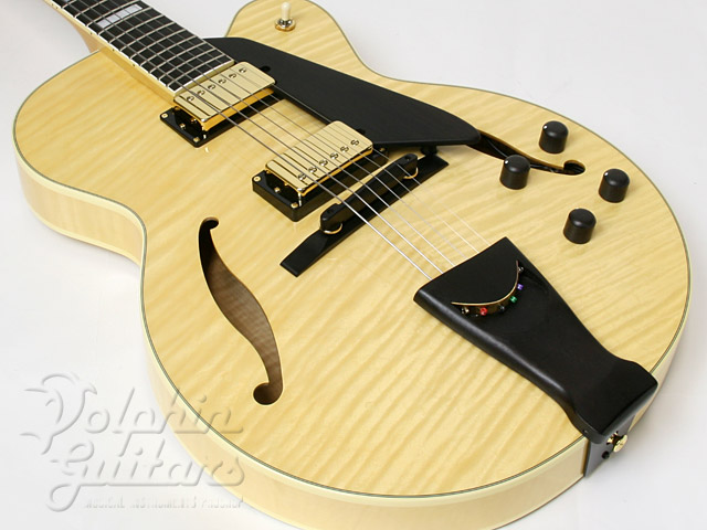 D'AQUISTO DQ-JZ-J|ドルフィンギターズ