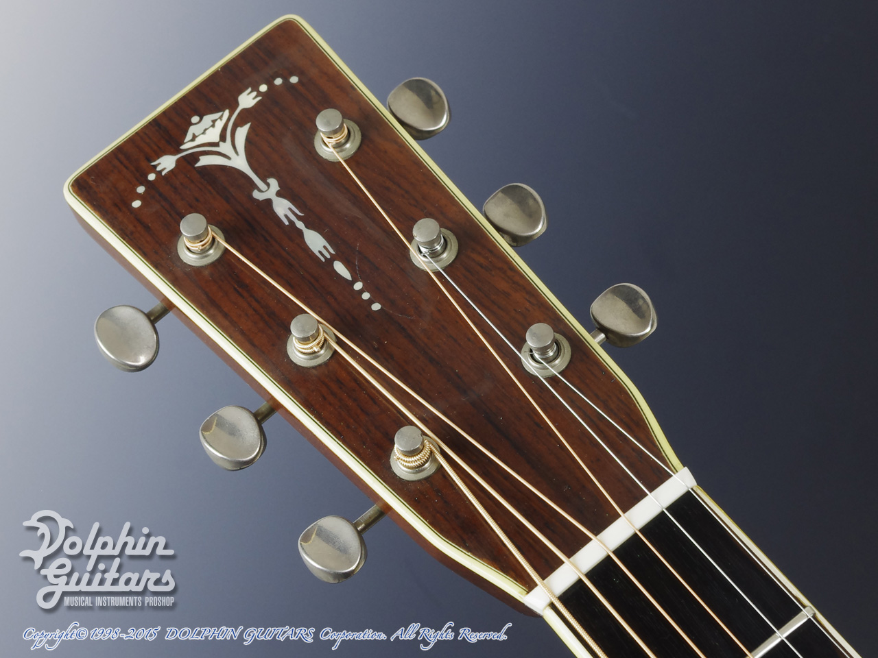 CAT'S EYES CE-1000|ドルフィンギターズ