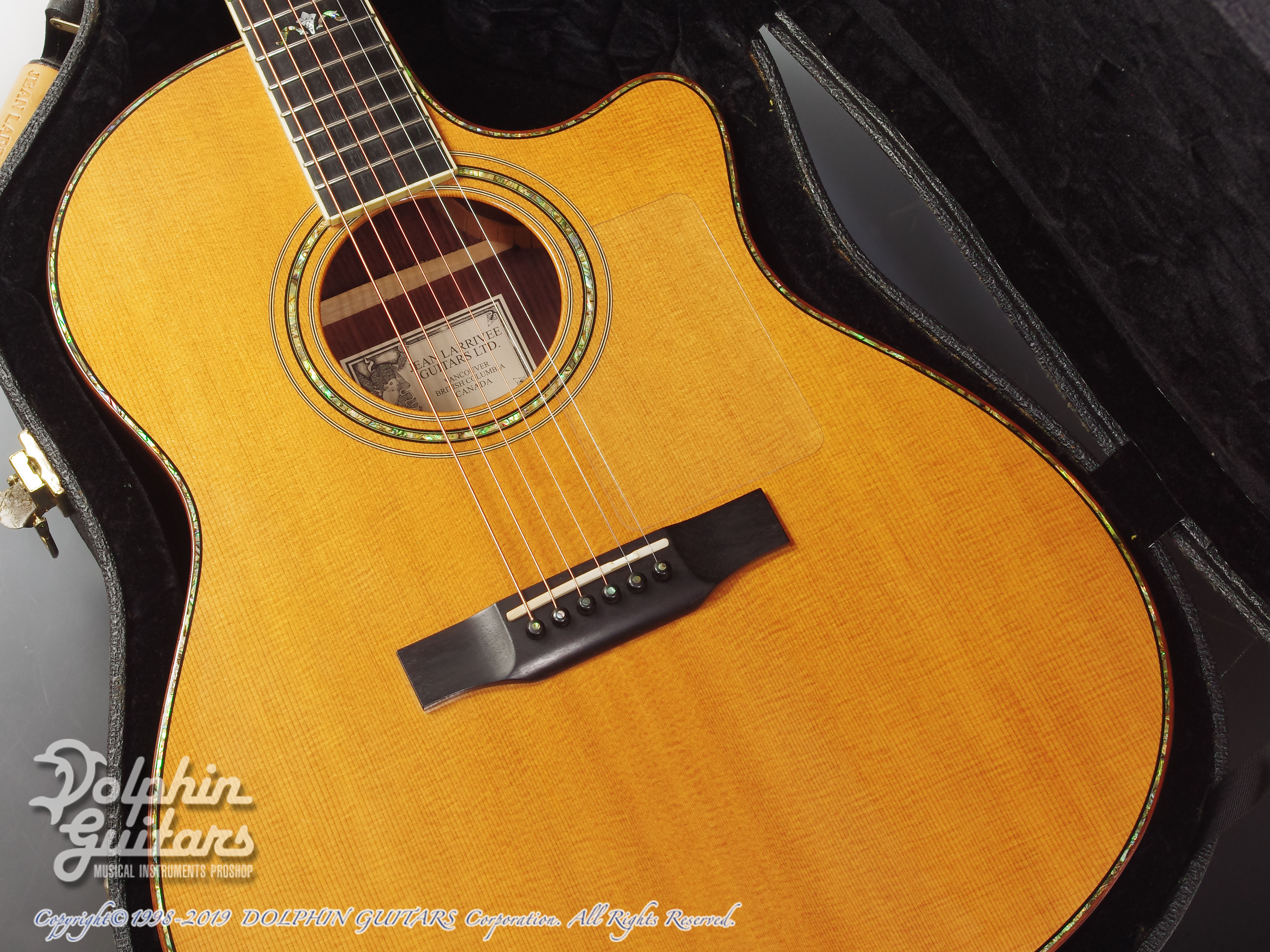 LARRIVEE LV-10 Unicorn|ドルフィンギターズ