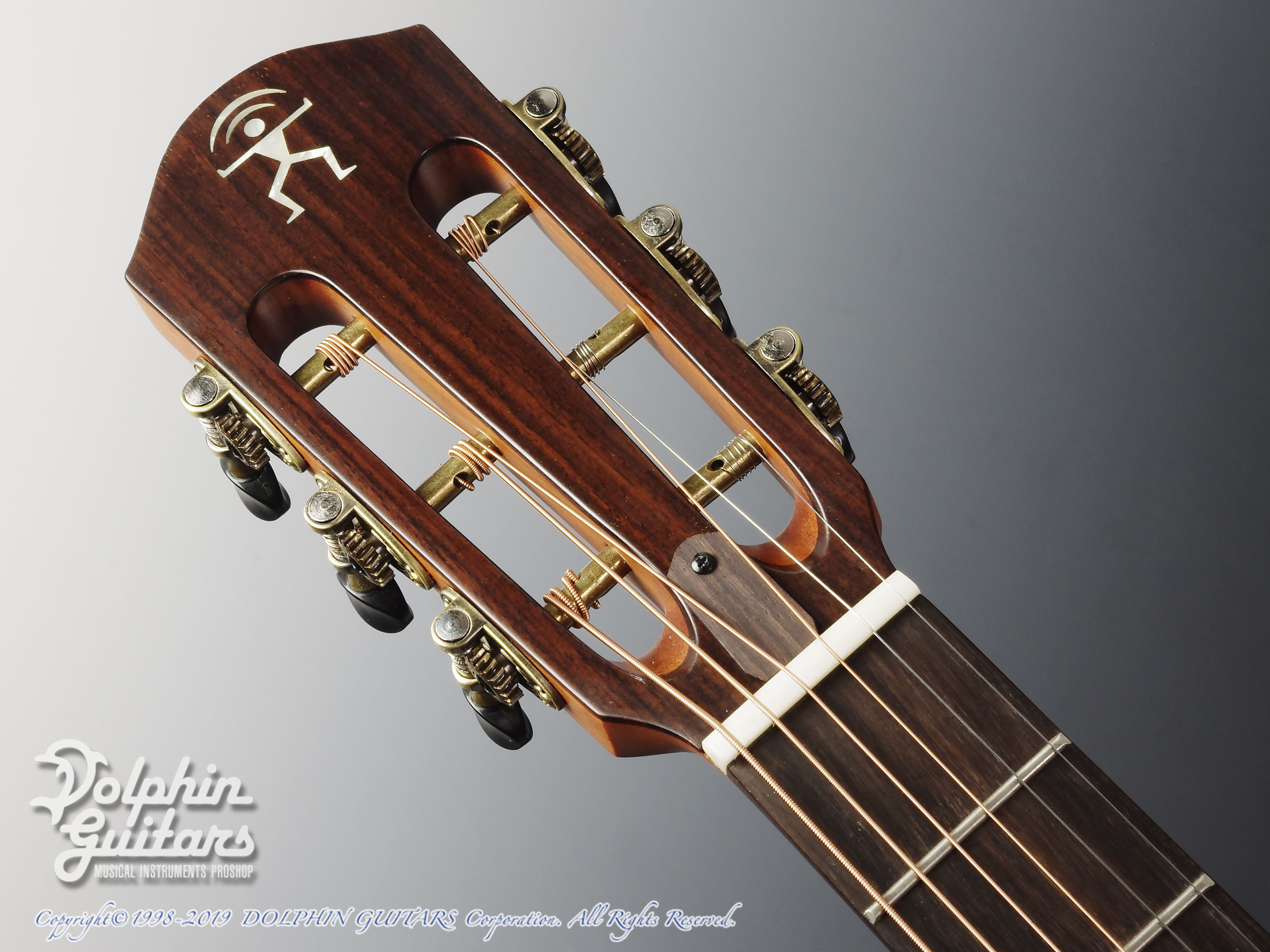 aNueNue aNN-MV114|ドルフィンギターズ