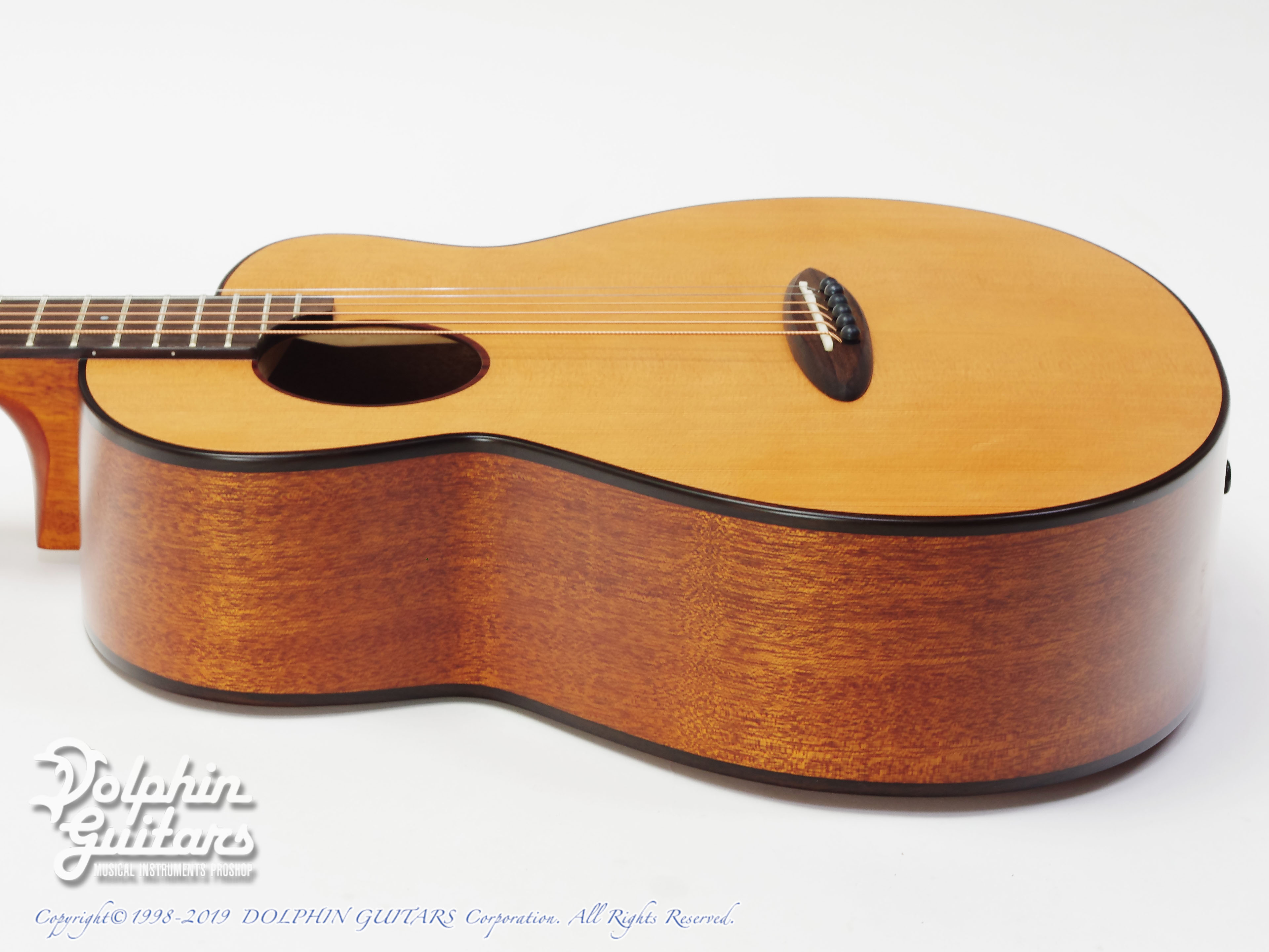 aNueNue aNN-MV114|ドルフィンギターズ