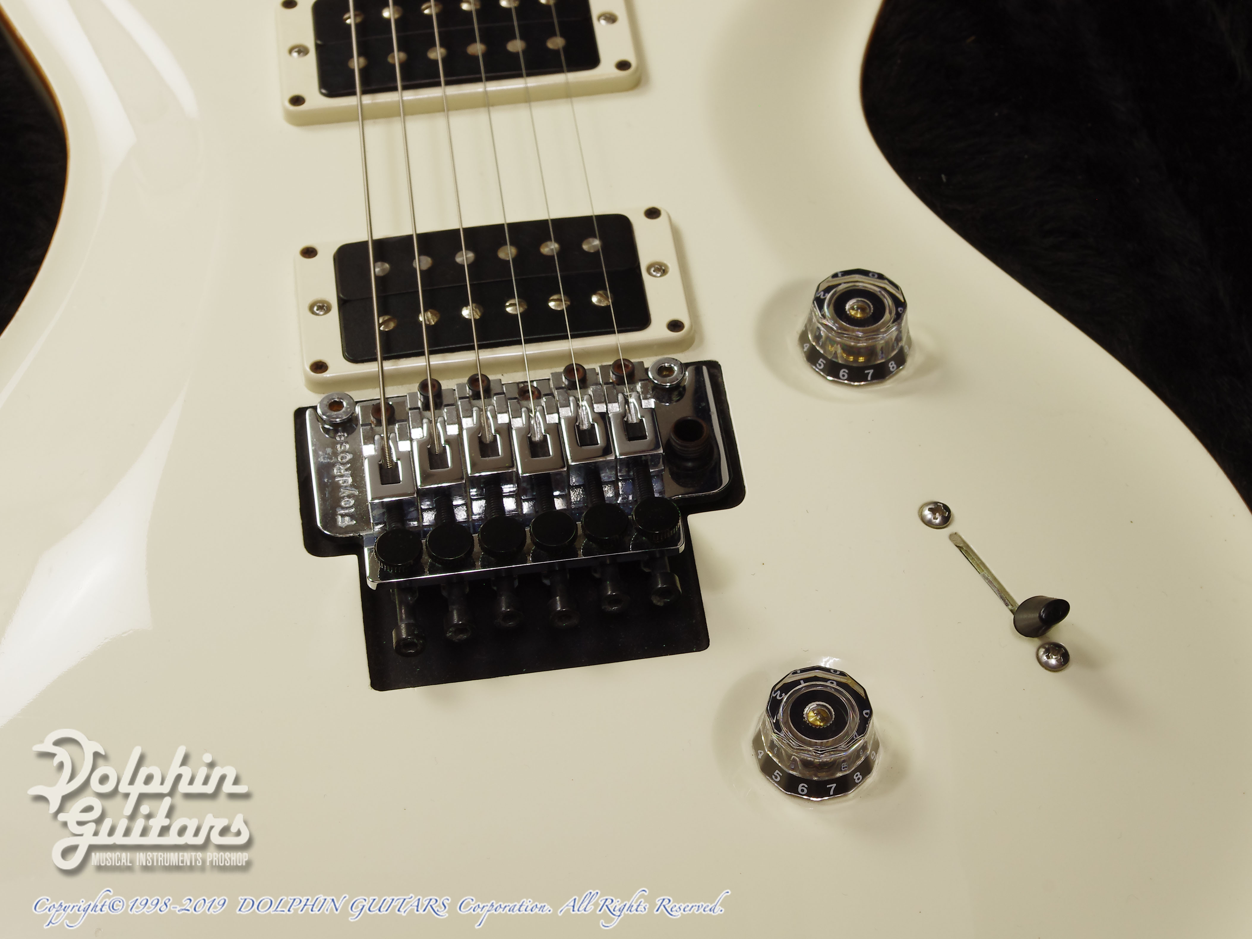 PAUL REED SMITH Custom 24 Floyd Rose (Antique White)|ドルフィン