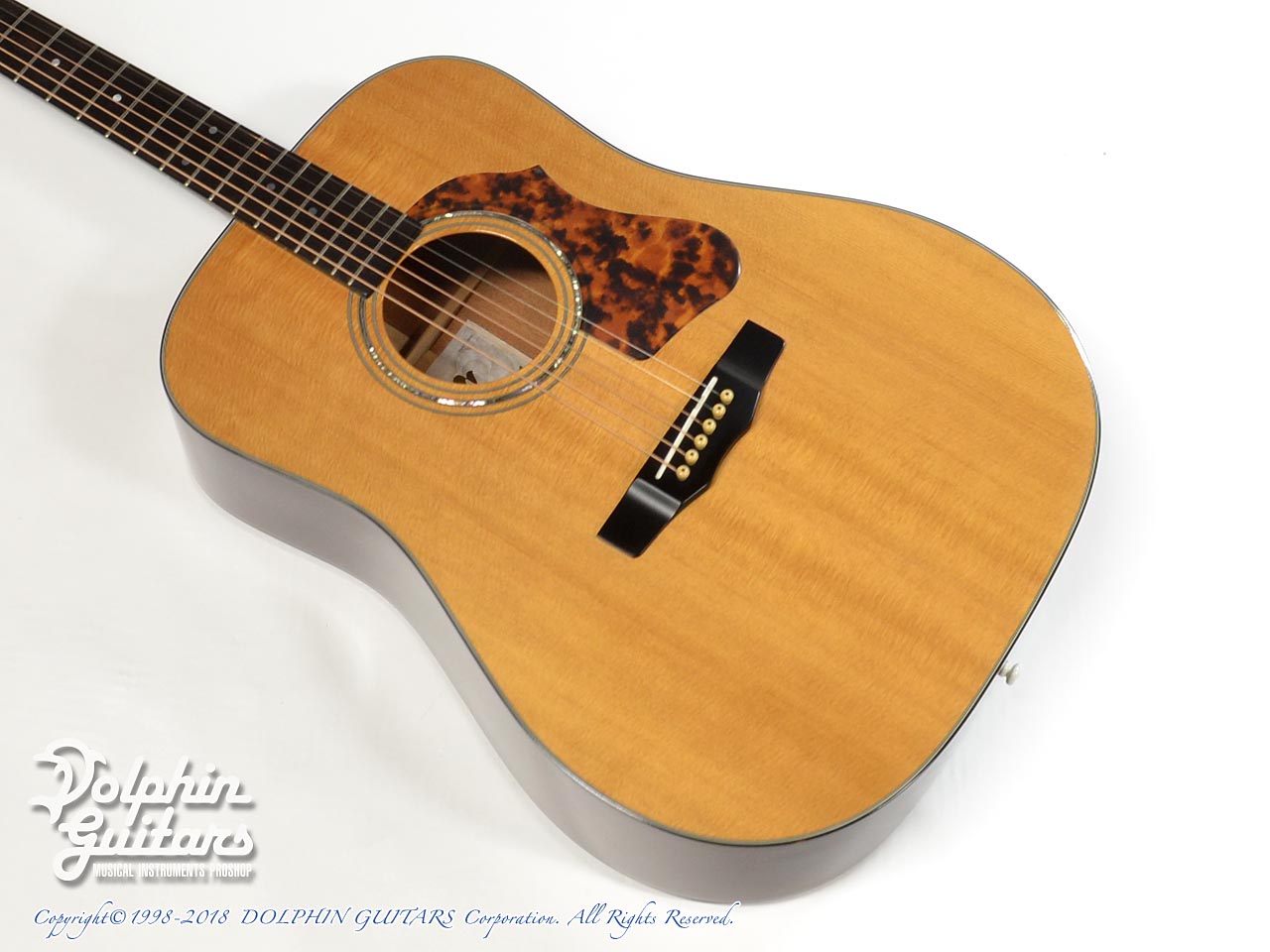 MORRIS M-80|ドルフィンギターズ