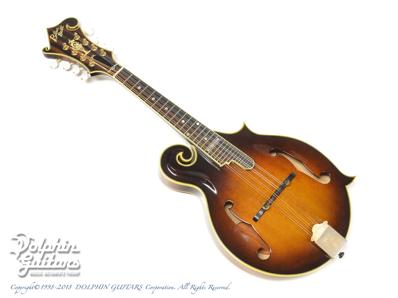 BLUE BELL F-10 マンドリン ブルーベル BLUE BELL F-10|ドルフィンギターズ