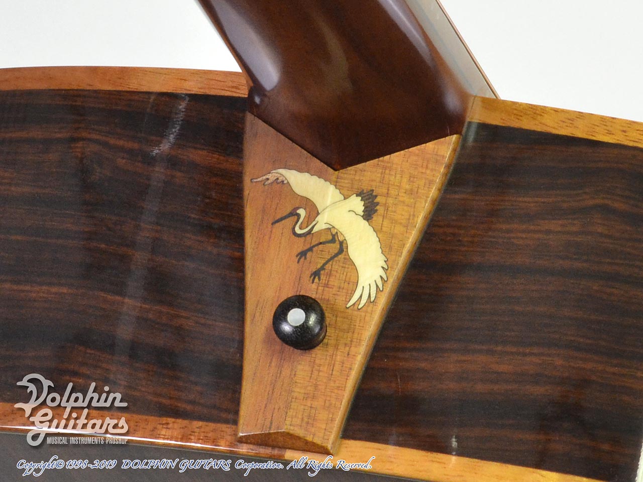 KISO KLEIN OMK-1|ドルフィンギターズ