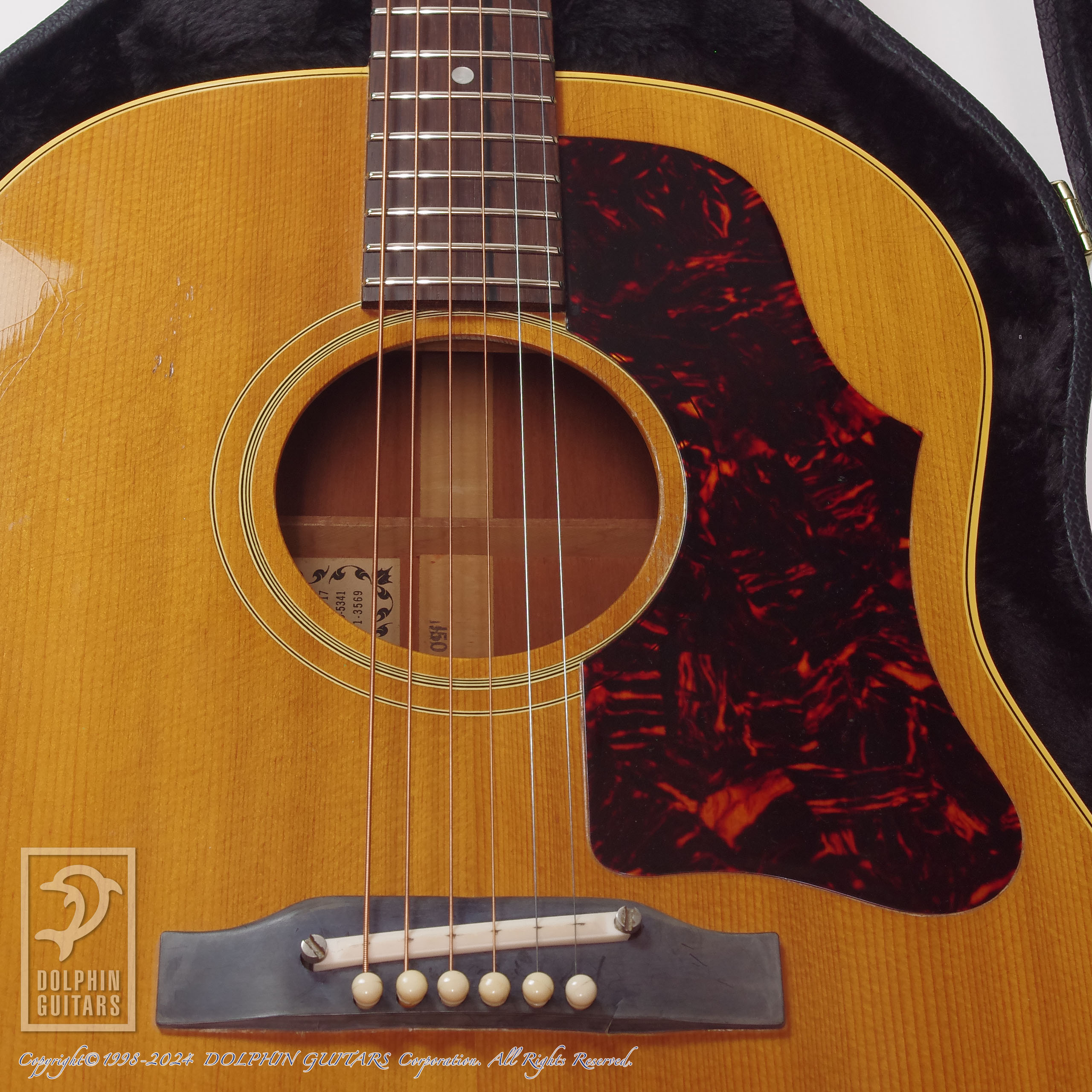 Gibson J-50 ADJ|ドルフィンギターズ