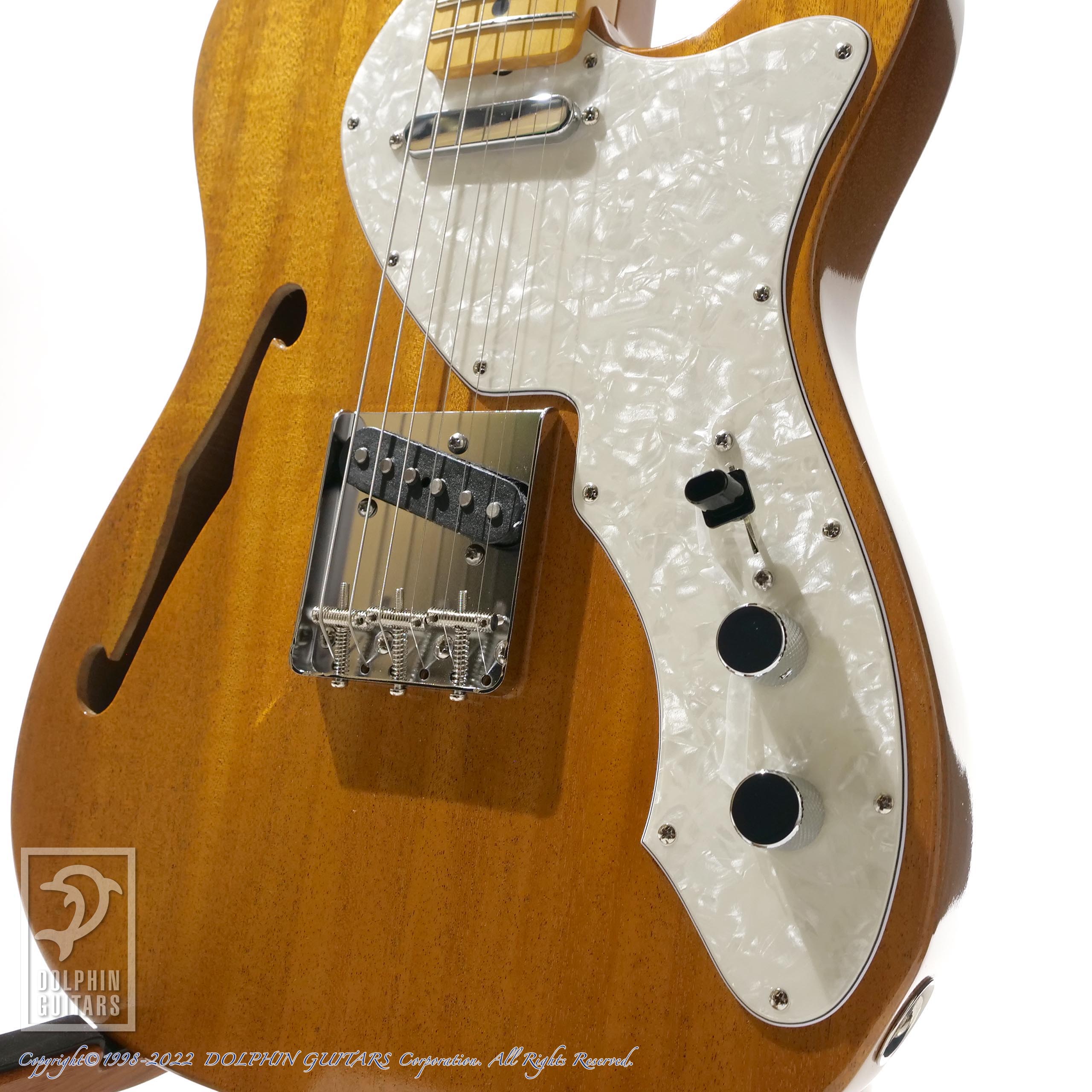 Van Zandt TLV-THINLINE / V.NAT|ドルフィンギターズ