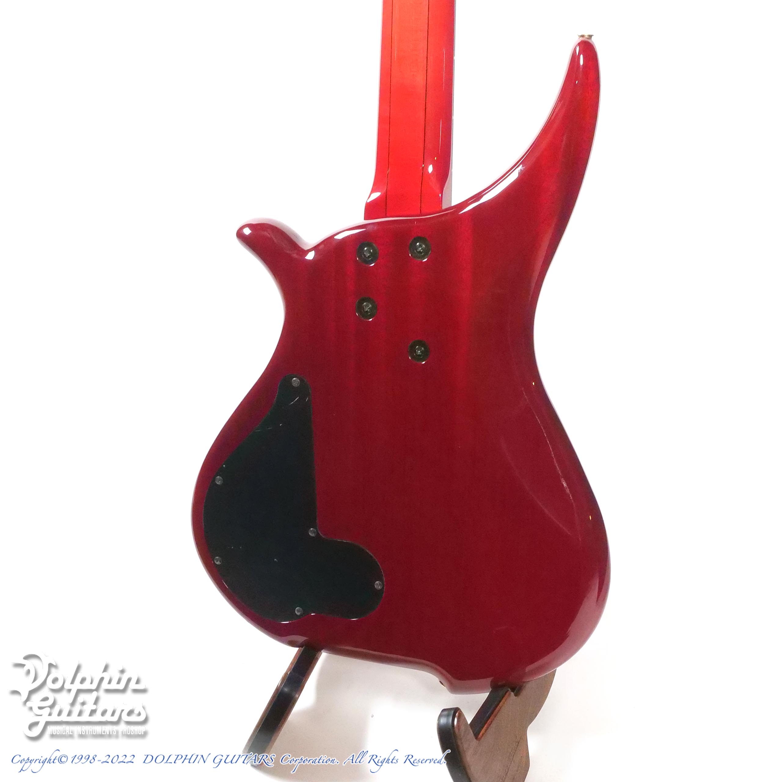 TUNE TWB-4 Custom Buckeye Burl|ドルフィンギターズ