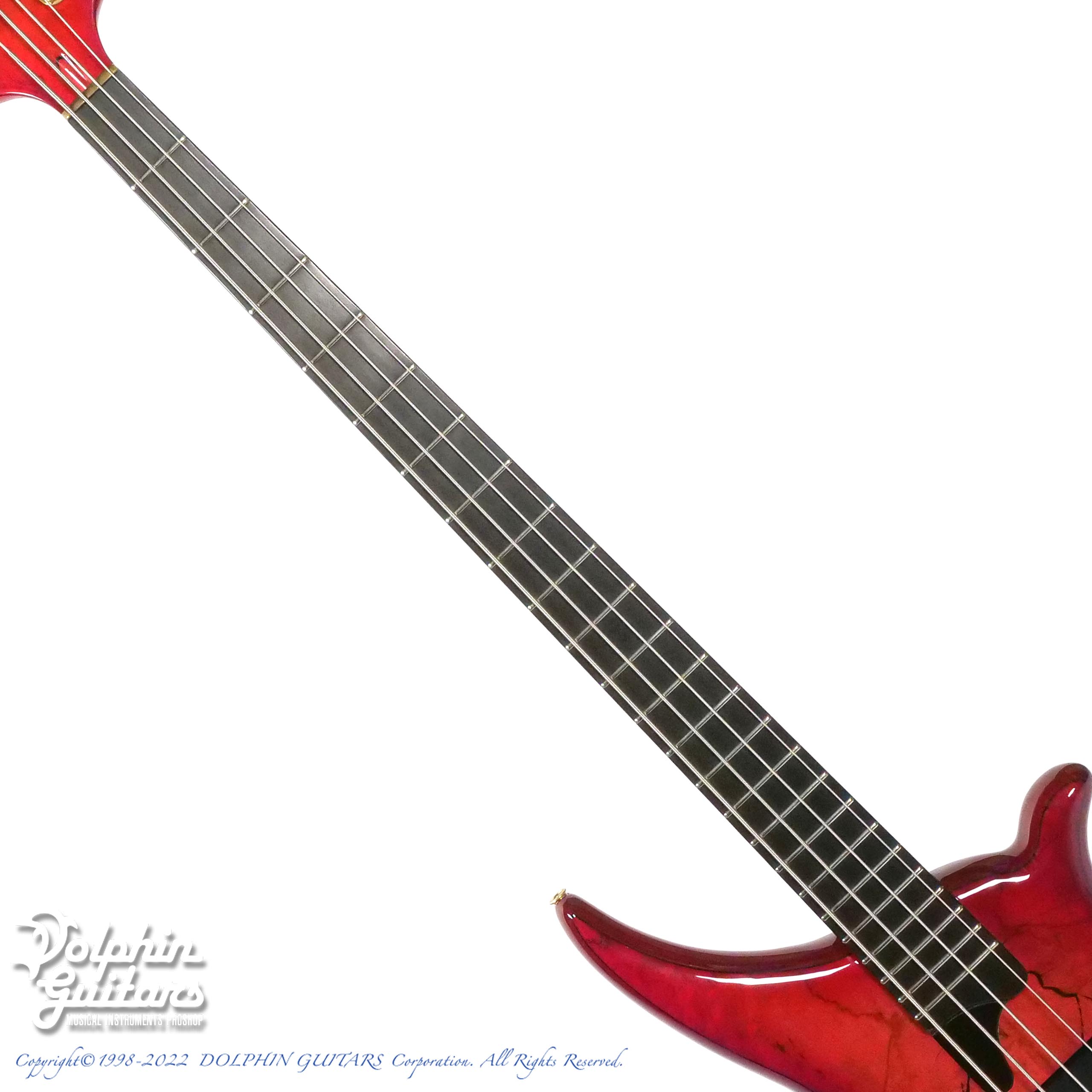 TUNE TWB-4 Custom Buckeye Burl|ドルフィンギターズ