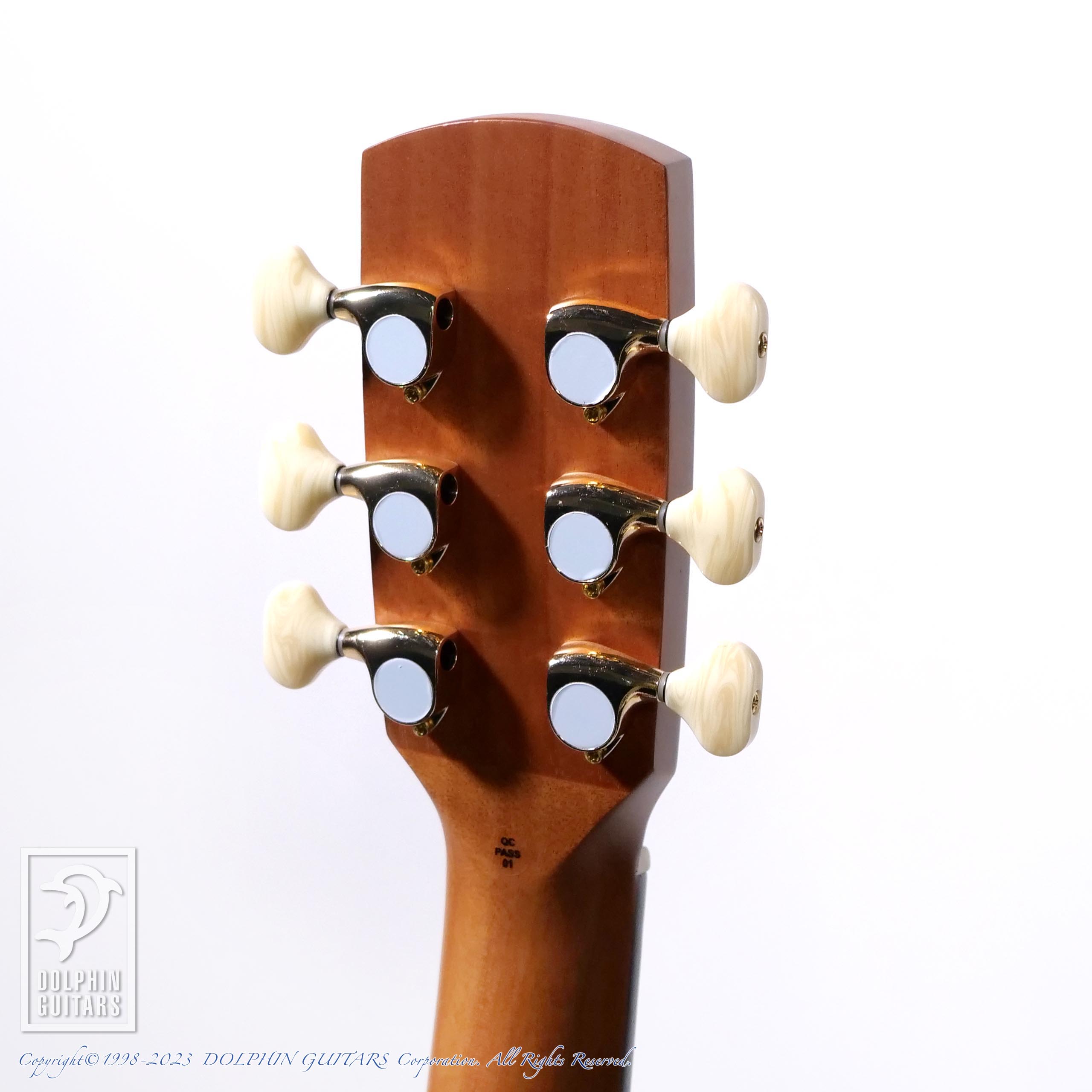 aNueNue aNN-M30 (All Acacia body)|ドルフィンギターズ