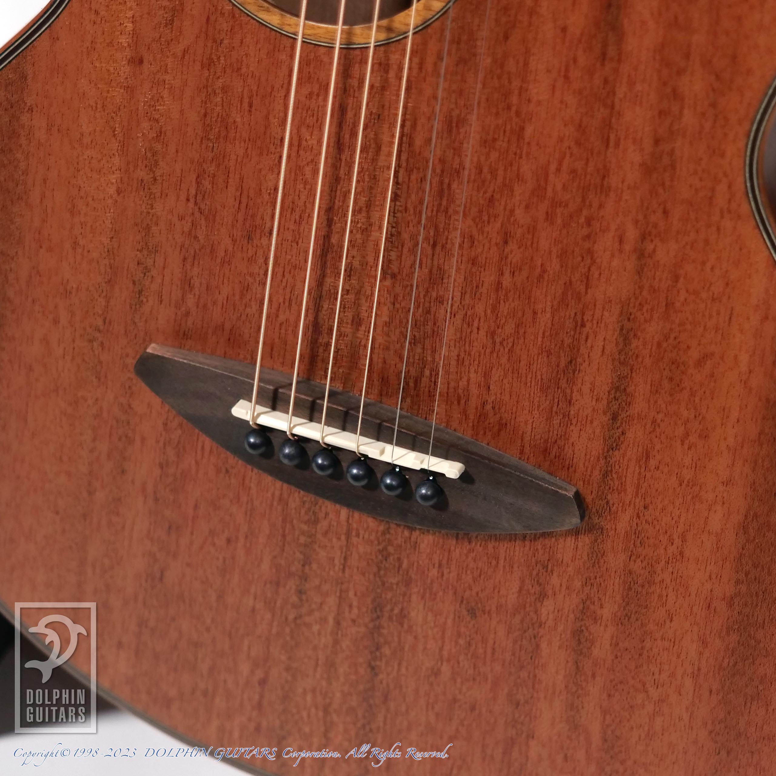 aNueNue aNN-M20E (All Mahogany)|ドルフィンギターズ