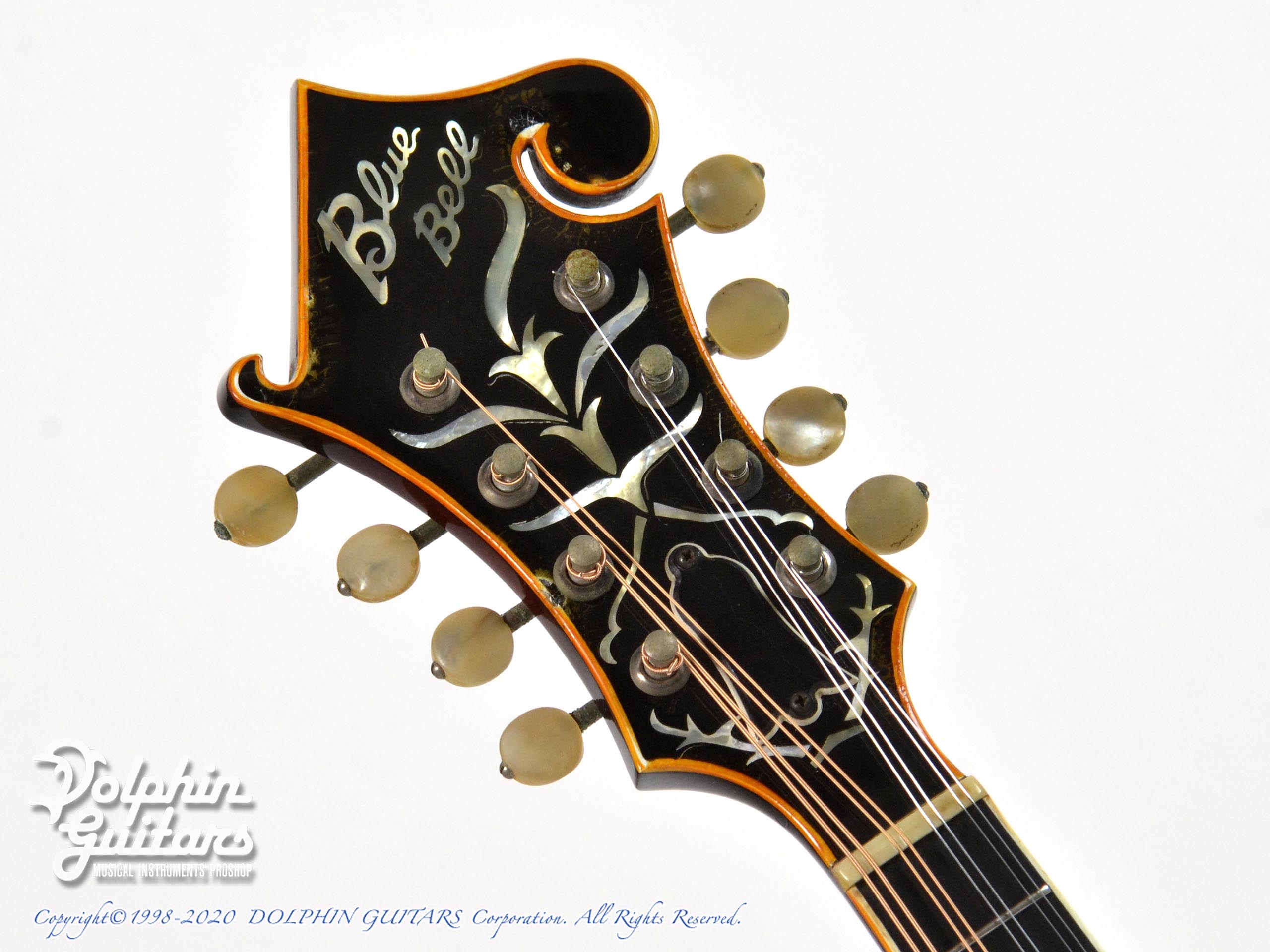 BLUE BELL F-15|ドルフィンギターズ