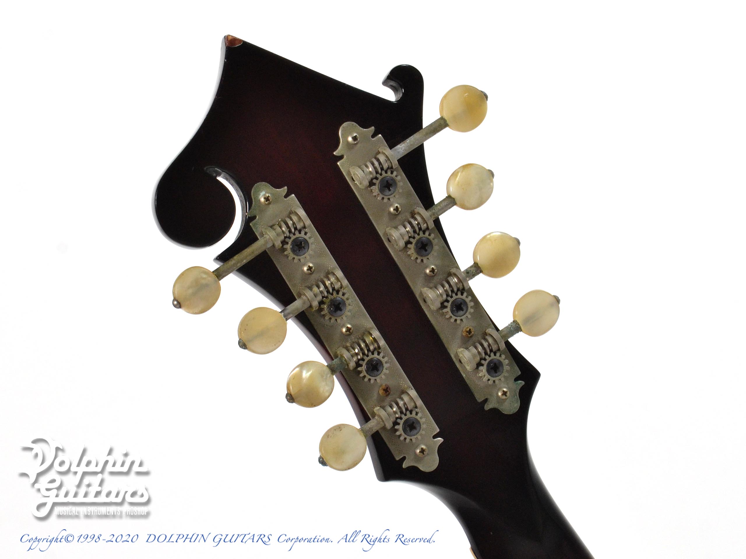 BLUE BELL F-15|ドルフィンギターズ