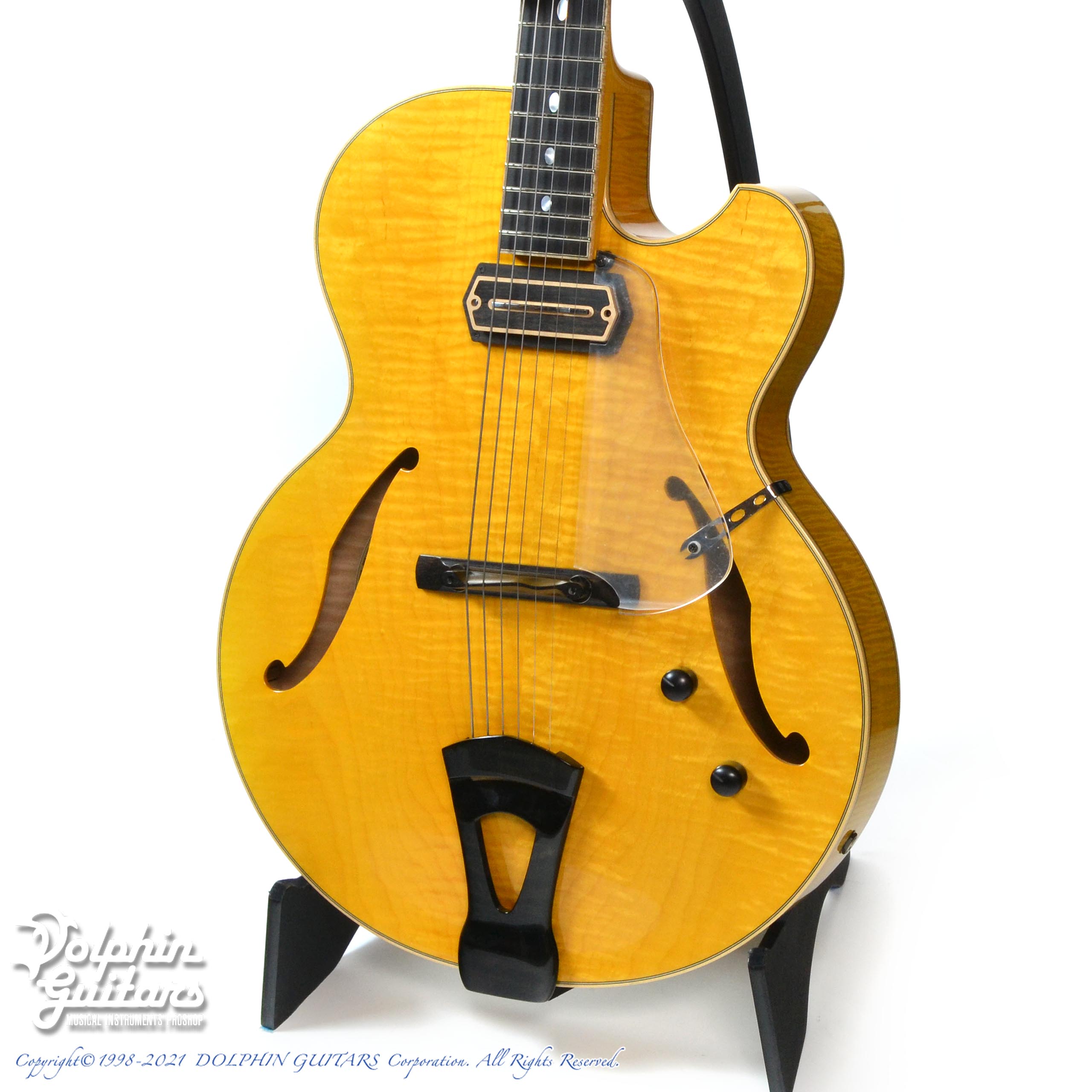 Westville Aruba|ドルフィンギターズ