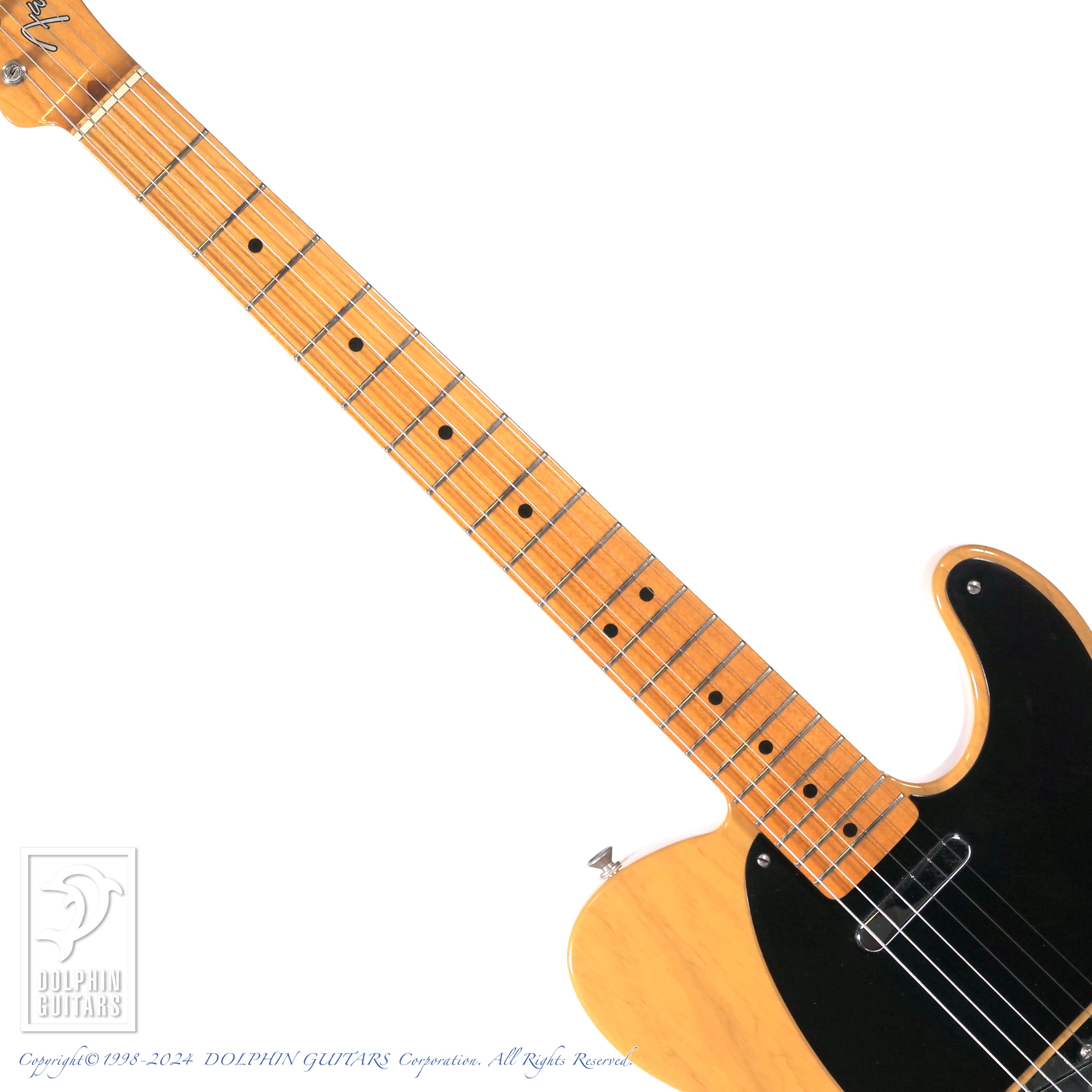 FENDER USA American Vintage 52 Telecaster (BTB)|ドルフィンギターズ