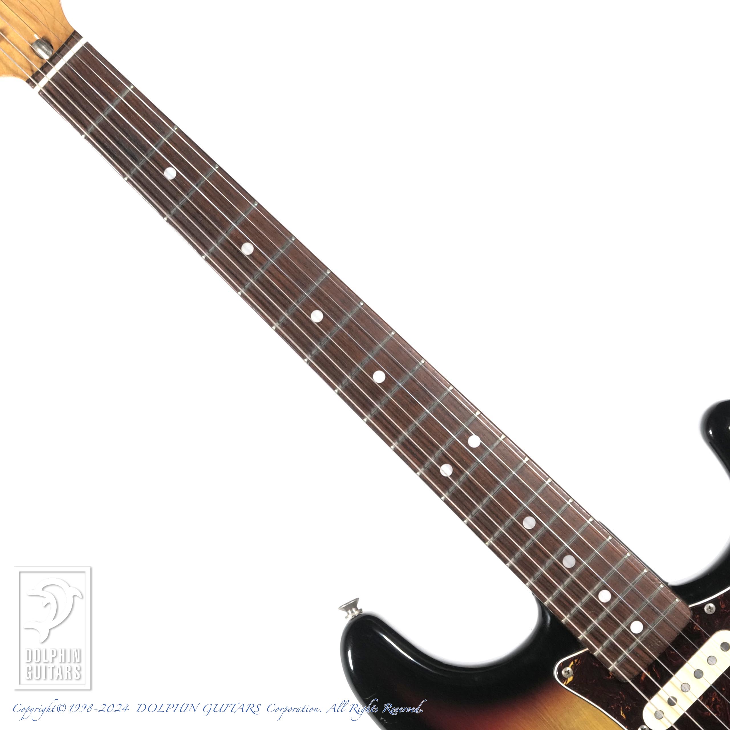 TOKAI Silver Star SS-36 3TS|ドルフィンギターズ