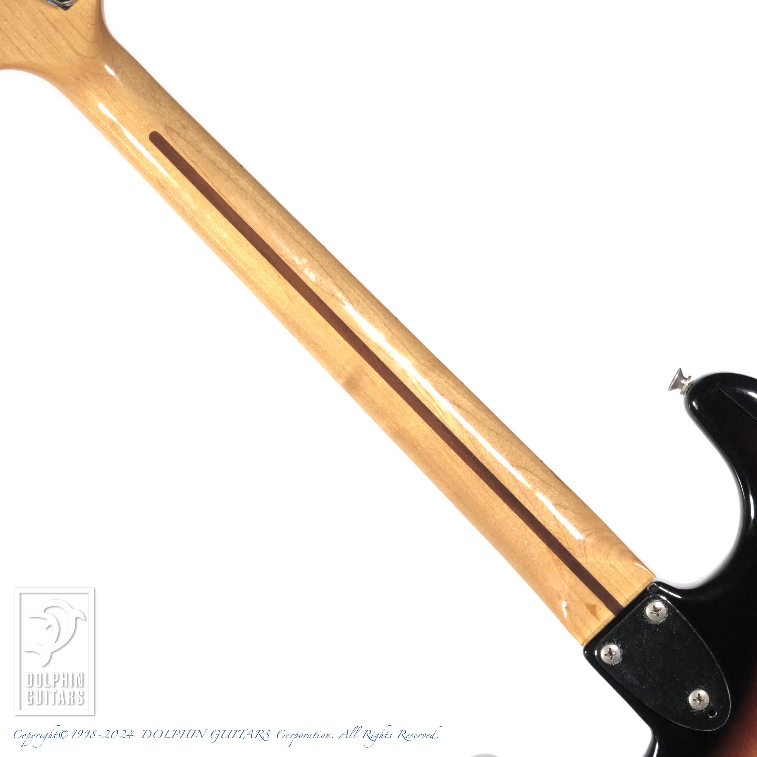 TOKAI Silver Star SS-36 3TS|ドルフィンギターズ