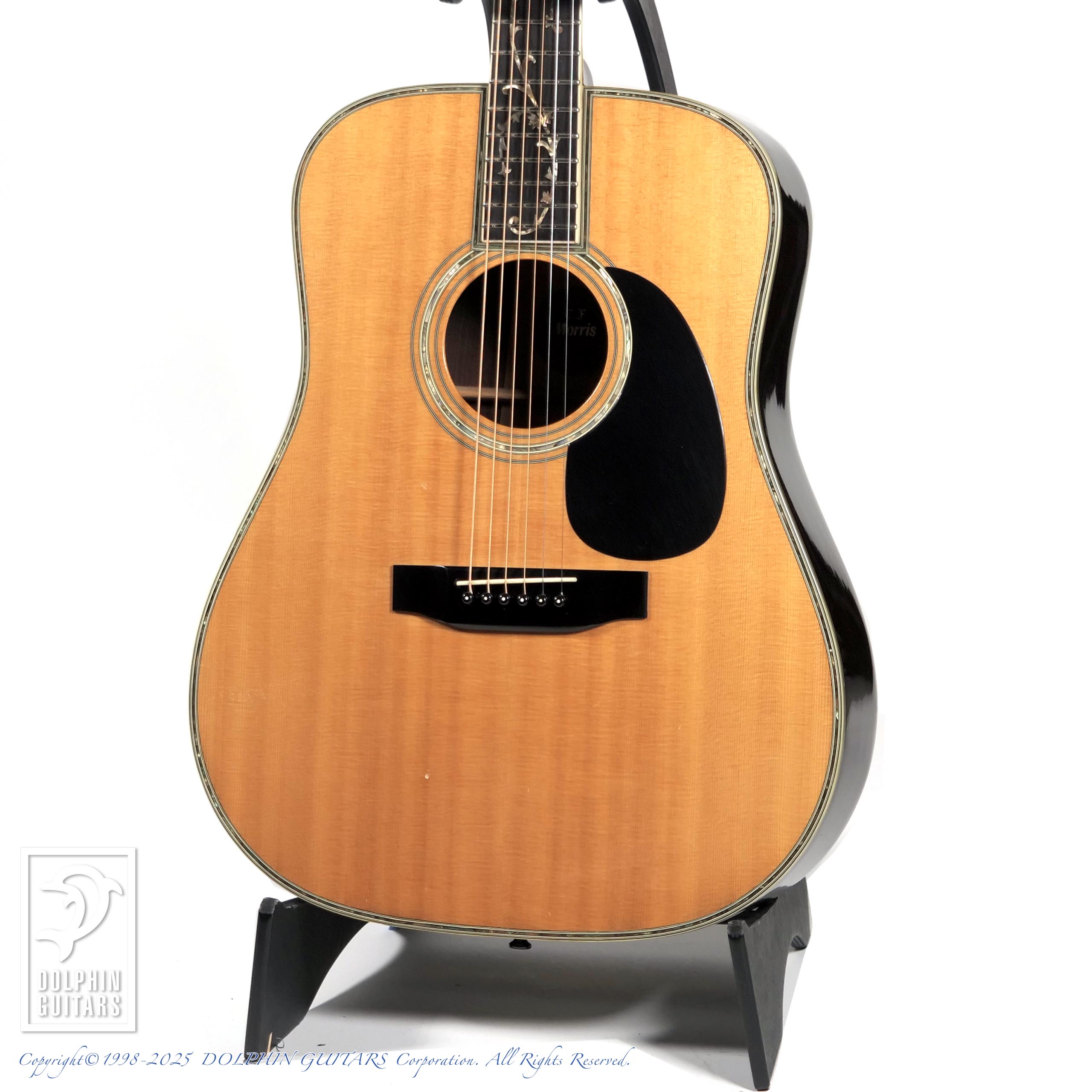 MORRIS W-100D|ドルフィンギターズ