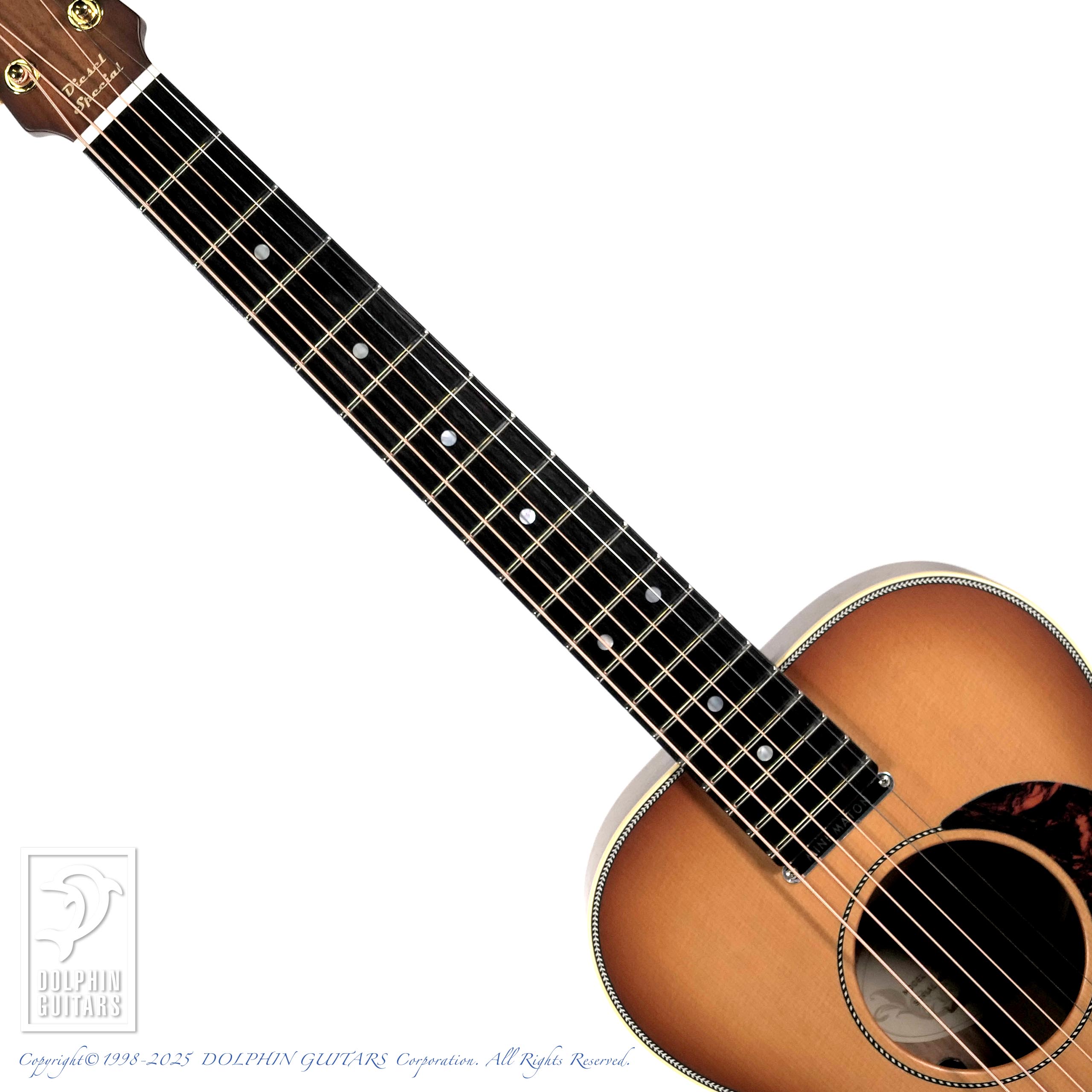 MATON EMD6 (Mini Maton Diesel Special)|ドルフィンギターズ