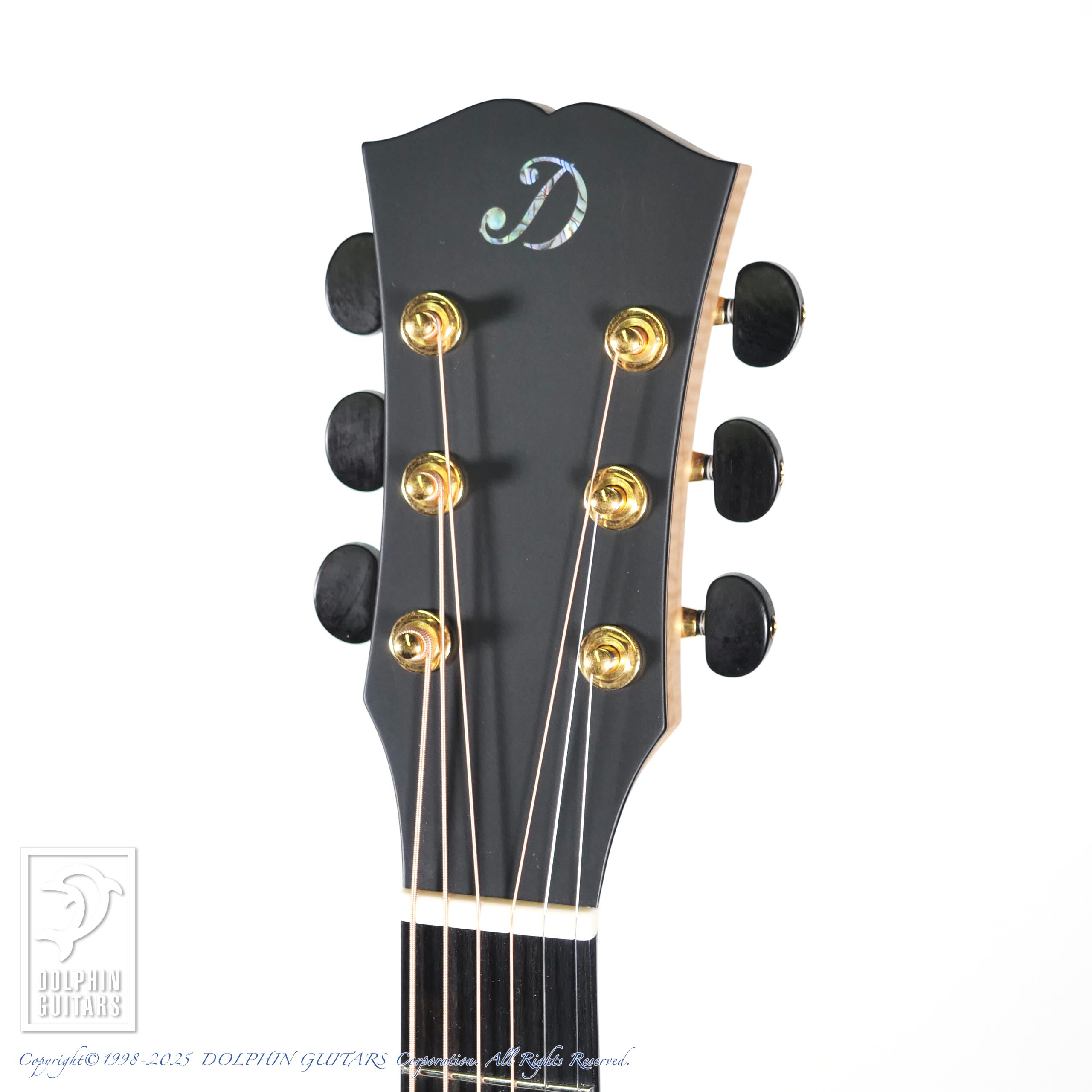 Dowina ACERO-GACE-DS|ドルフィンギターズ