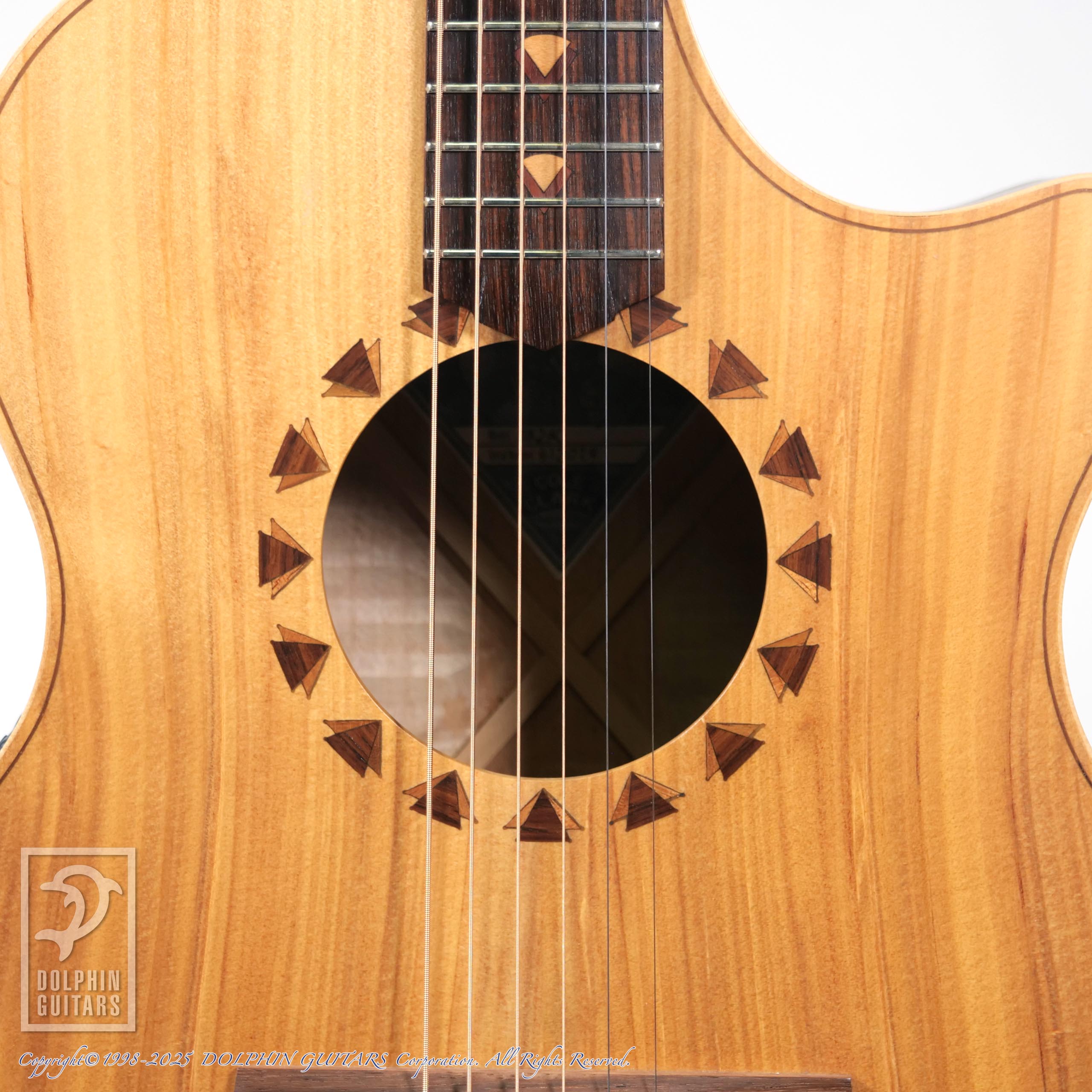 COLE CLARK AN2AC|ドルフィンギターズ