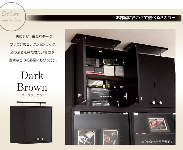 コレクションラック Luke ルーク 深型ハイタイプ用専用上置き - 家具