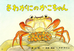 さわがにのかこちゃん (しってる？ちいさないきもの) ：高家博成