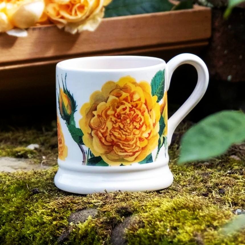 David Austin Roses - バラ苗, バラ鉢, イングリッシュローズ, つる