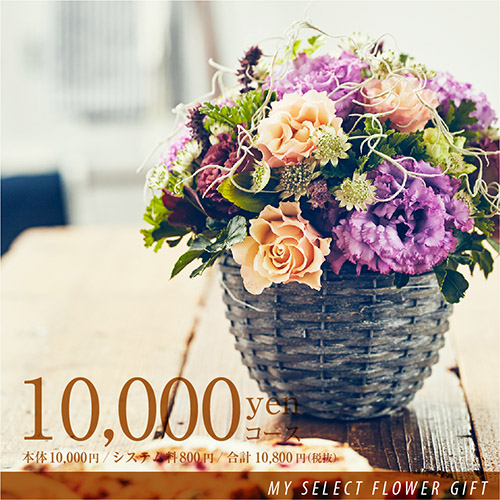 マイセレクト MST-OR | 法人企業様への胡蝶蘭・フラワーギフトは第一