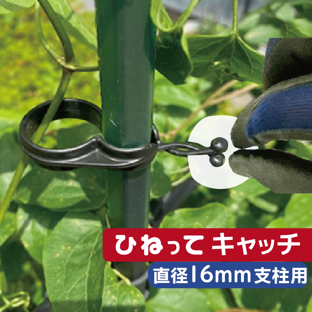 ひねってキャッチ | 第一ビニール株式会社