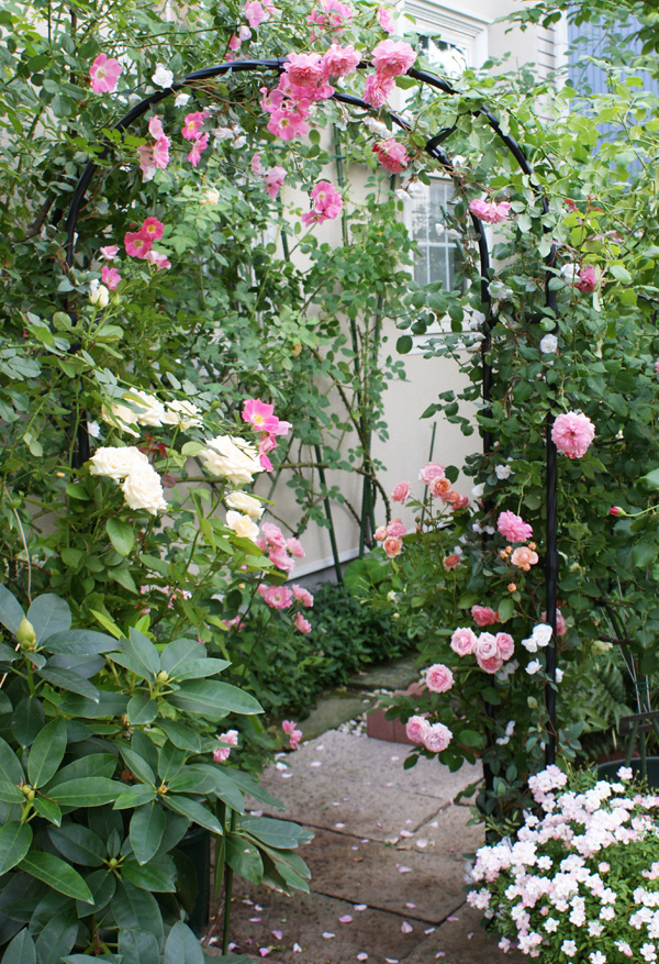 工具不要でオシャレなアーチ！【フラワーアーチ】 | 第一ビニール株式会社