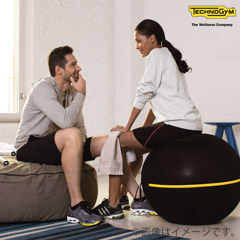 WELLNESS BALL ACTIVE SITTING （55cm