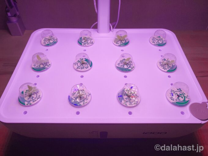 iDOOスマートLED水耕栽培器（IG302S）レビュー】アプリで自動化できる