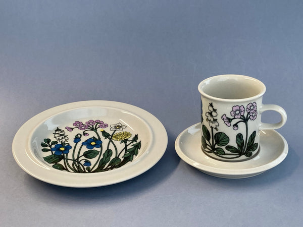 Flora Chocolate Cup & saucer decor by Esteri Tomula Arabia 1979
