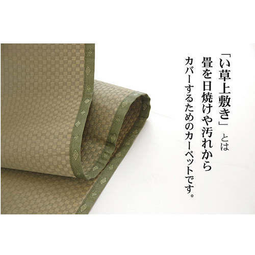 い草 ござ 上敷き 国産 不知火 江戸間10畳 IKEHIKO い草ござ 江戸間10