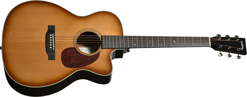 HOC-V090SE | Deviser ｜株式会社ディバイザー｜長野県松本市のギター