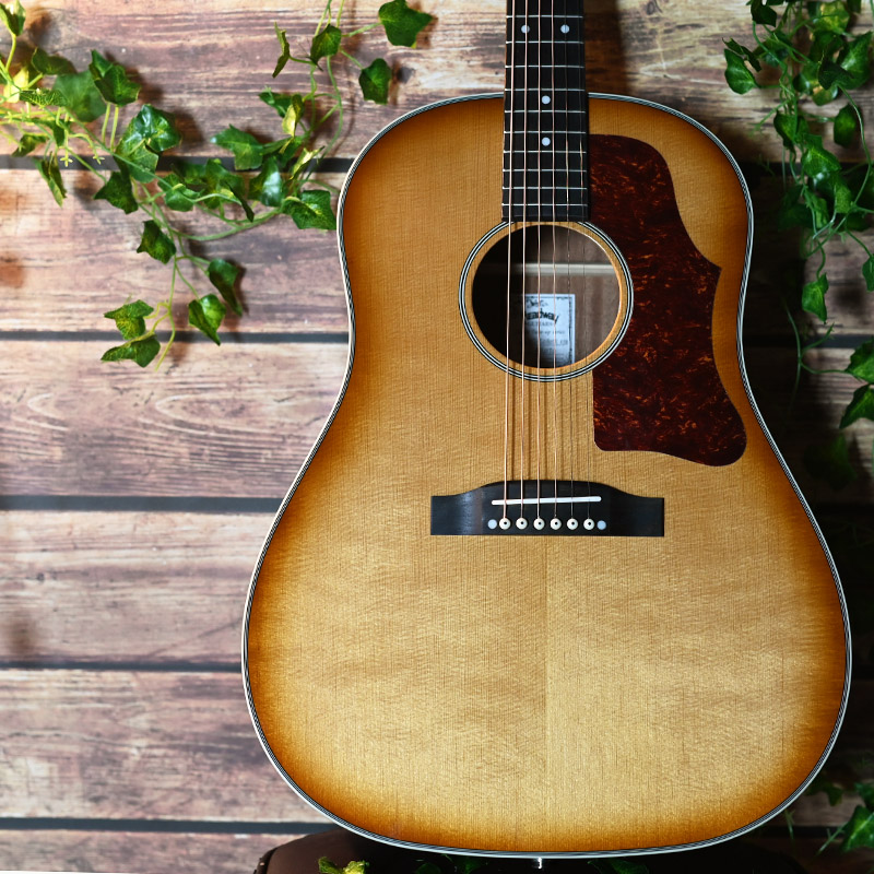 HJ-5080SE | Deviser ｜株式会社ディバイザー｜長野県松本市のギター