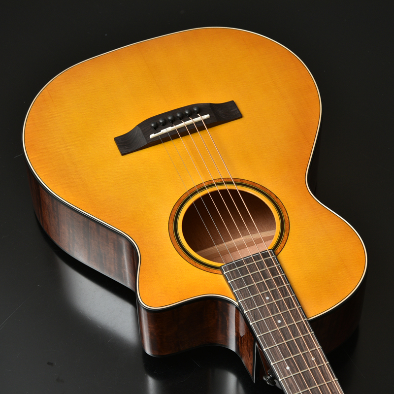 HC-630TRV | Deviser ｜株式会社ディバイザー｜長野県松本市のギター