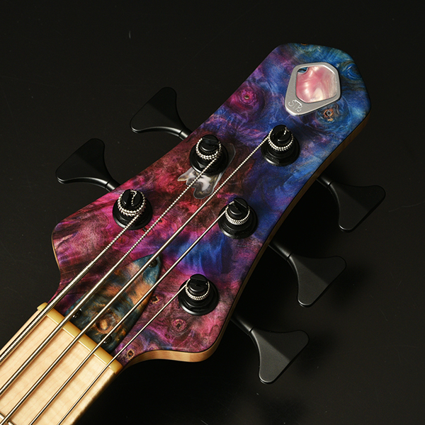 LS549 #482 | Deviser ｜株式会社ディバイザー｜長野県松本市のギター