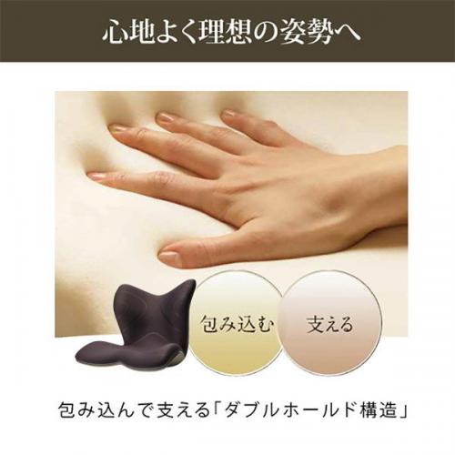 デンキチWeb / MTG エムティージー スタイルプレミアム ブラウン Style