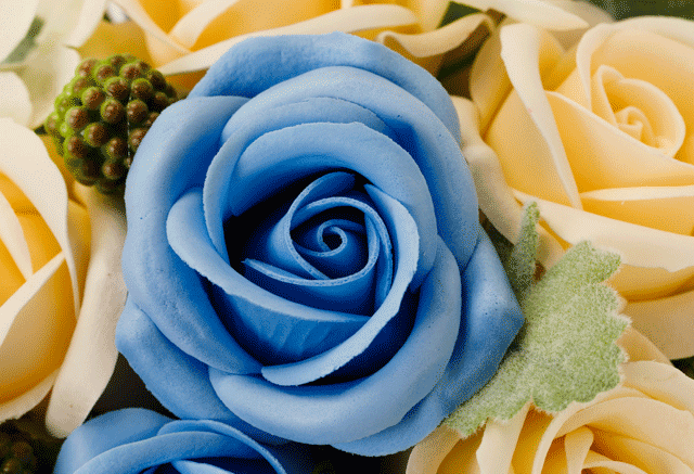 ソープフラワー フレンチドーム｜祝電｜アーティフィシャルフラワー