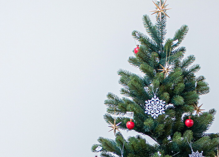 RS GLOBAL TRADE社(グローバルトレード社)クリスマスツリー150cm