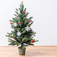 RS GLOBAL TRADE社(グローバルトレード社)クリスマスツリー90cm