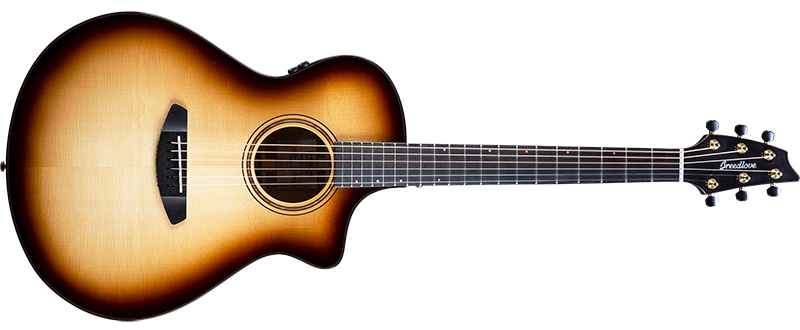 Breedlove Passport C25CE FS｜ワンオーナー｜エレアコ Breedlove／The