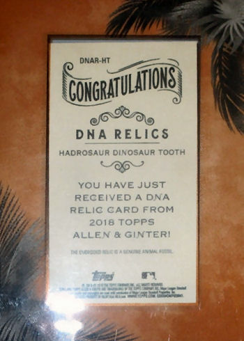 The Dinosaur Fan is a dinosaur card collector's encyclopedia