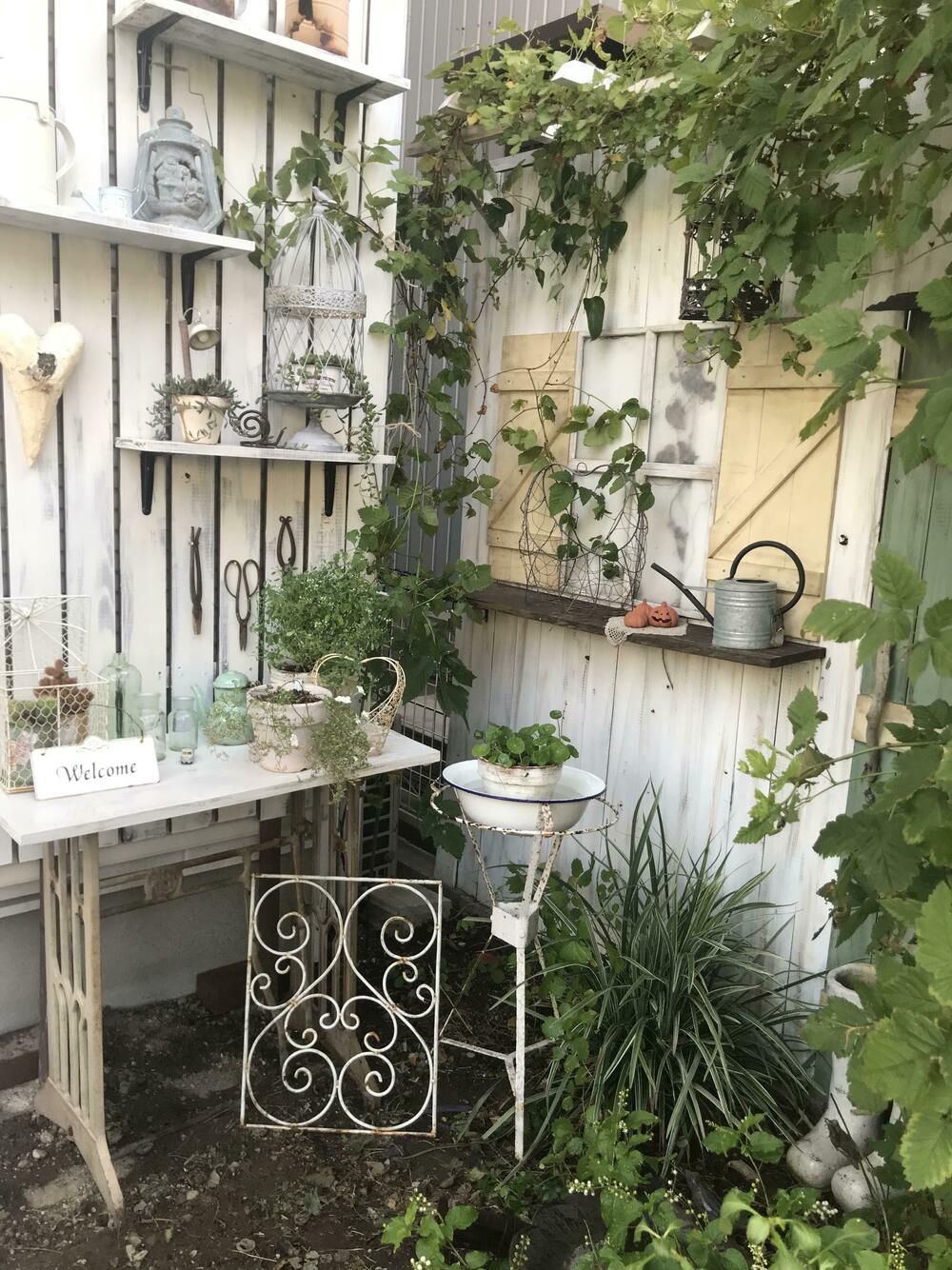 新しい風景～パーゴラDIY～ - ナチュラルガーデニング日和 ～nobaraの