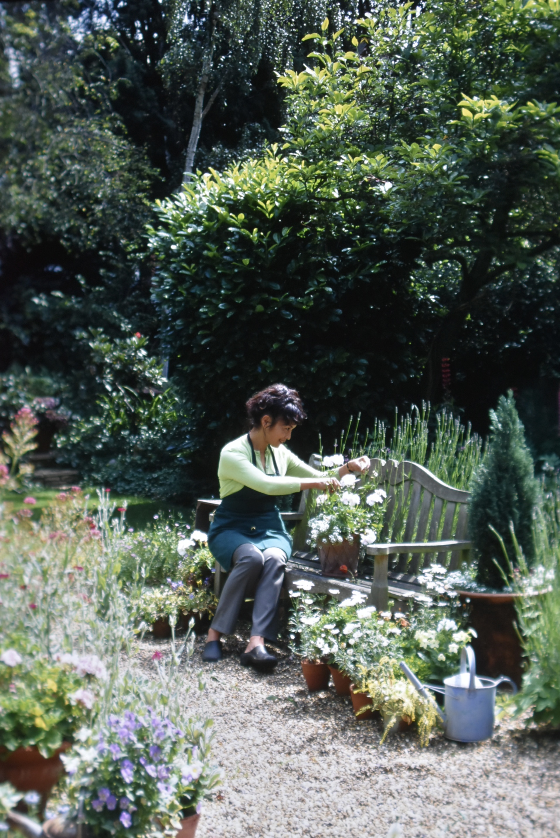 イングリッシュガーデンの旅 5 Knepp rewilding その後 - 吉谷桂子の