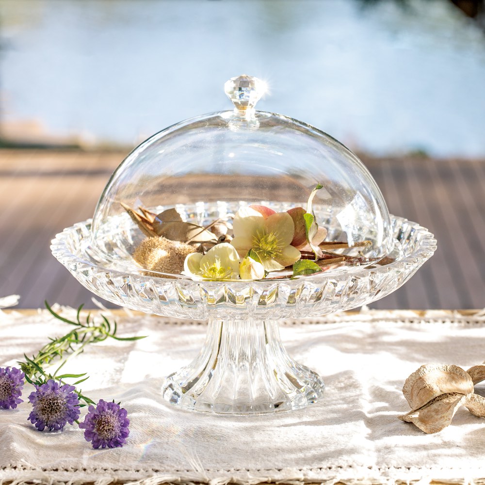 割れない！ケーキドーム スタンド付き 通販 - ディノス